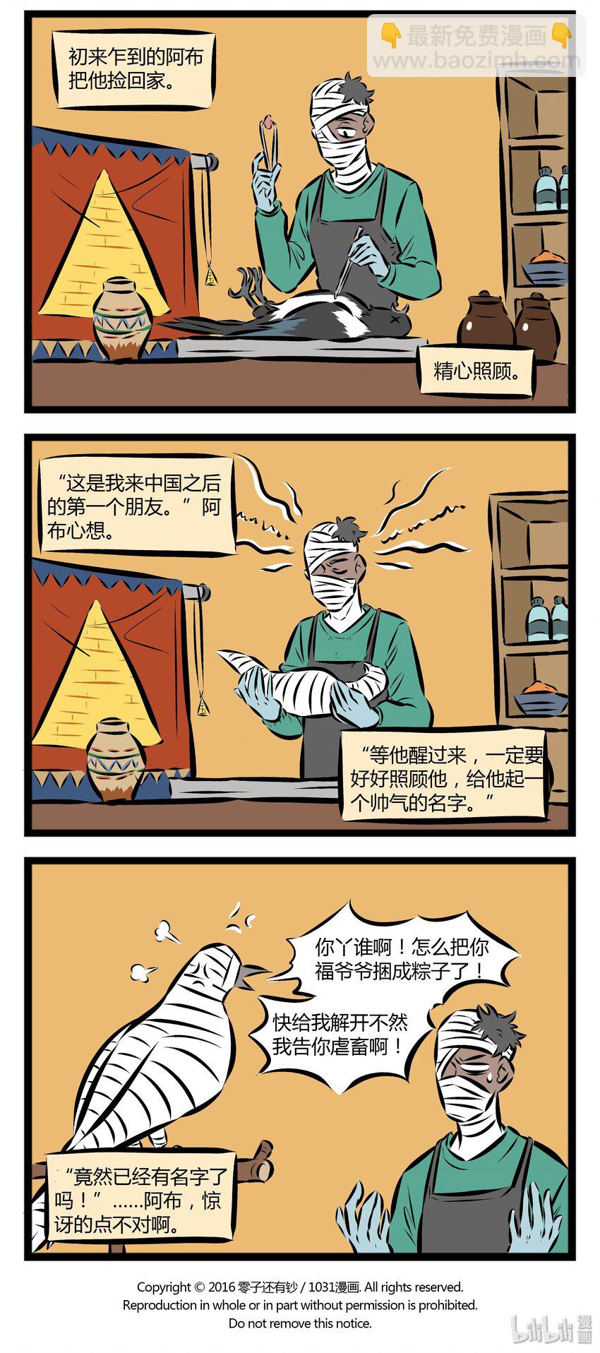 🍡1031万圣街 【第20话】 阿布仍未知道那年在花坛边捡到的鸟的品种……其实是喜鹊呦~ 第4页