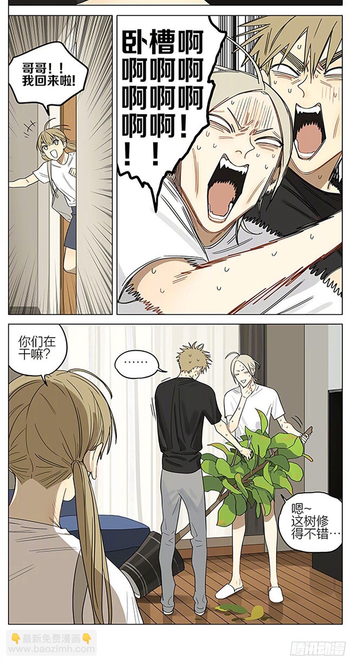 家务-第330话