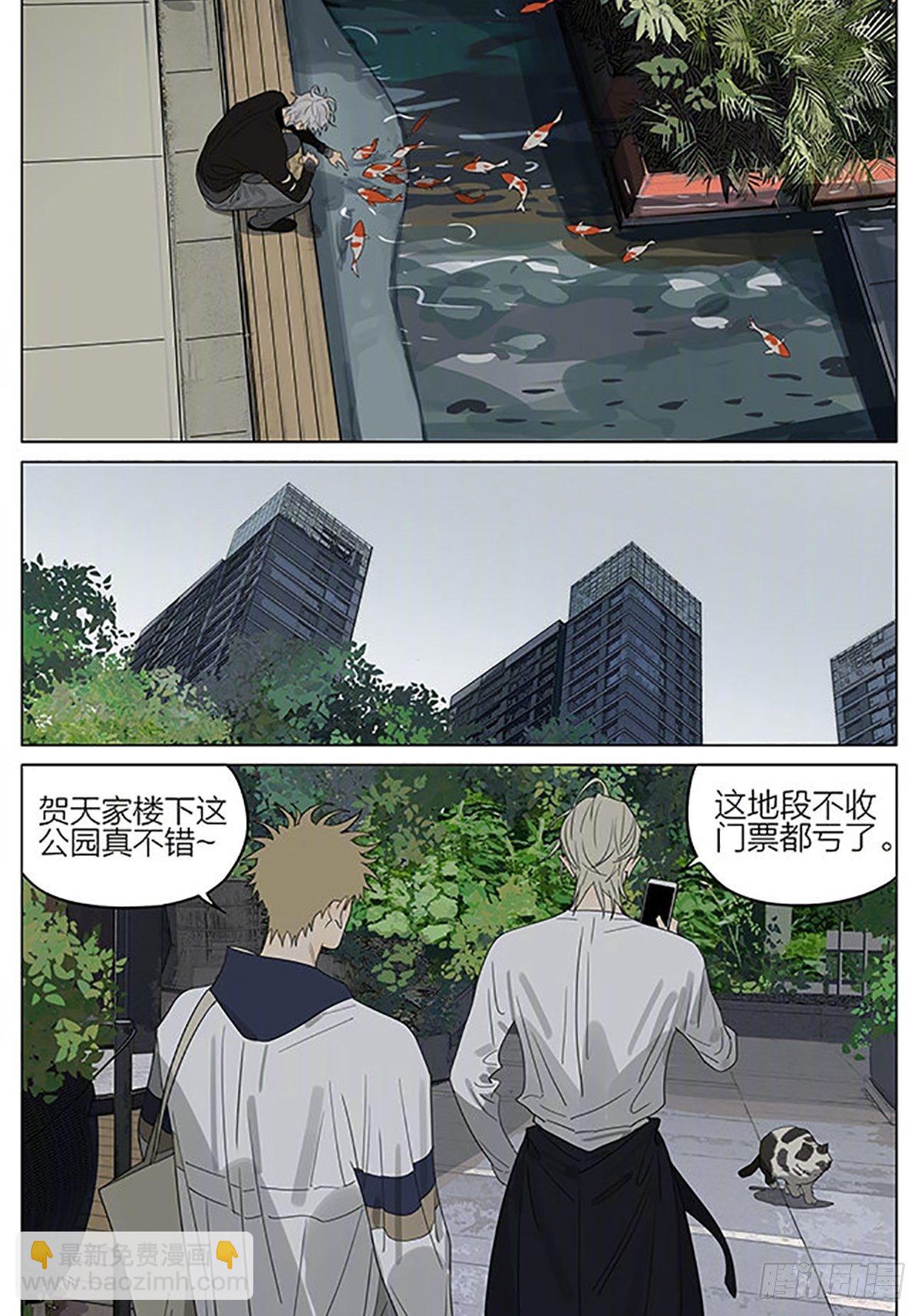 流浪猫-第382话
