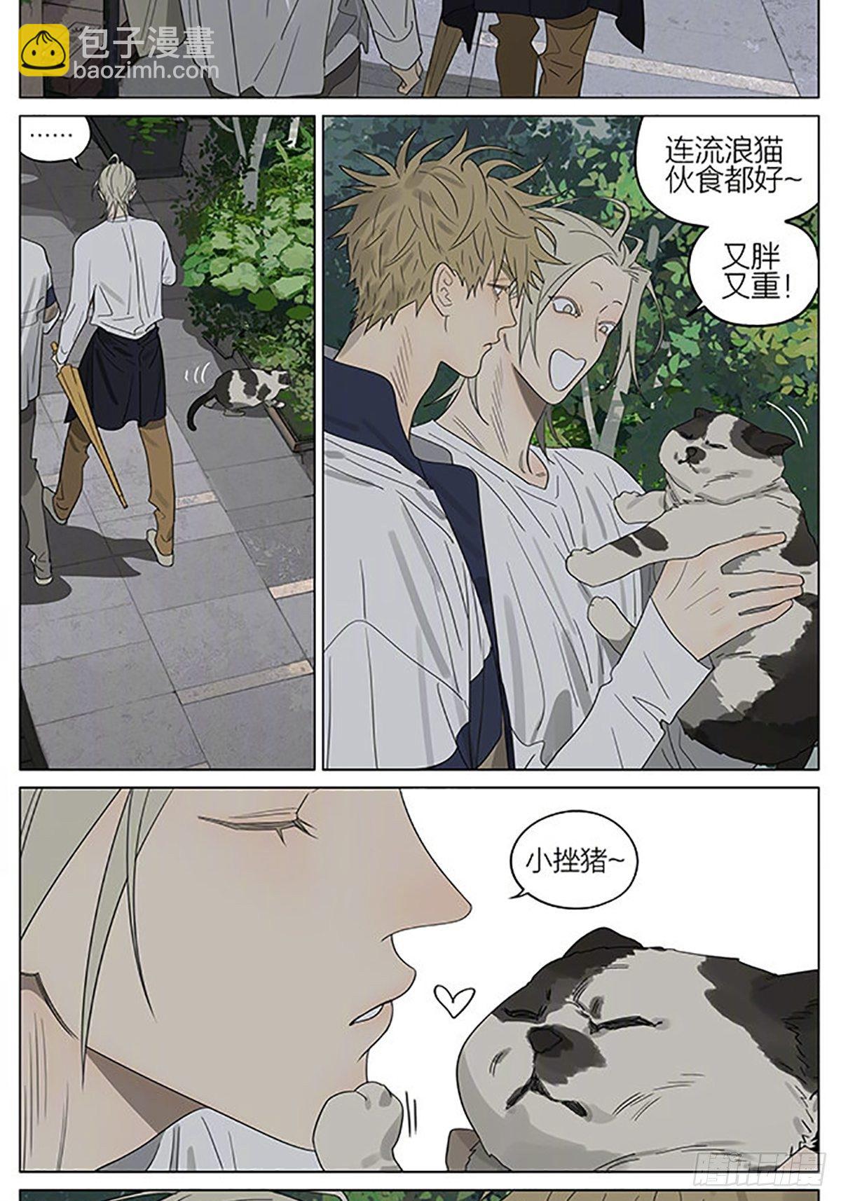 流浪猫-第382话