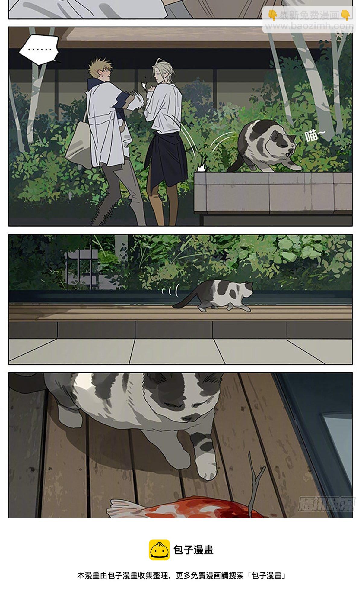 流浪猫-第382话