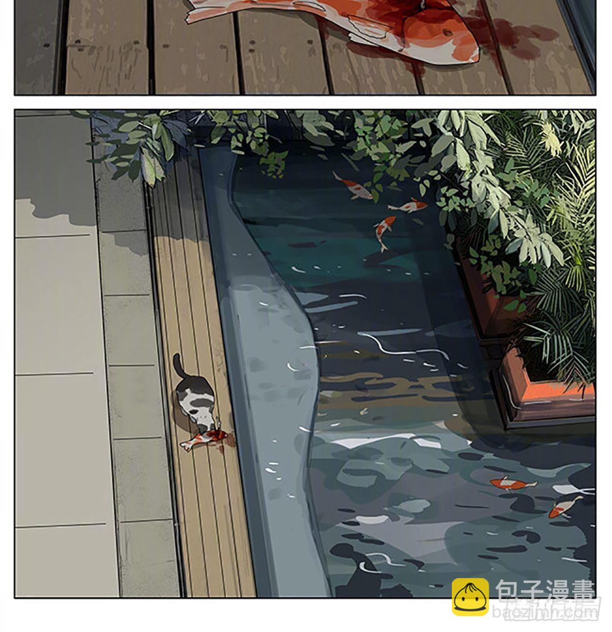 流浪猫-第382话