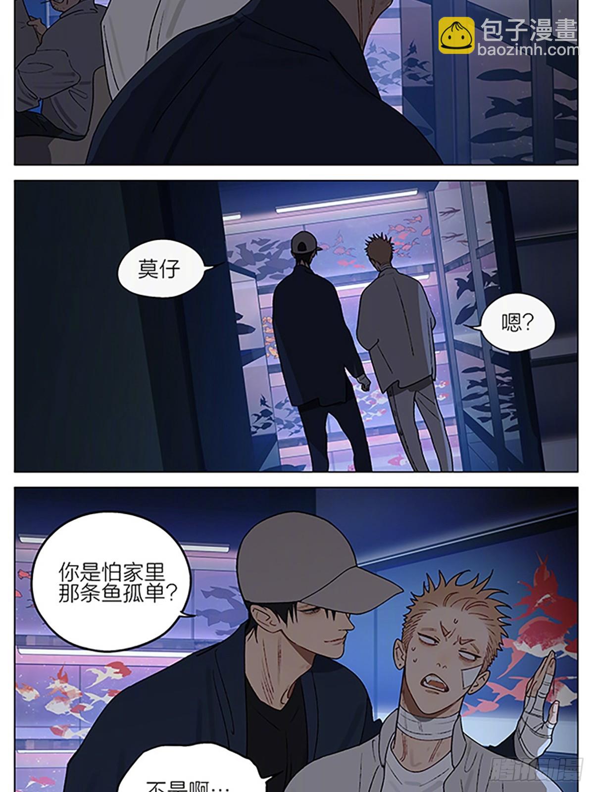 金鱼店-第414话