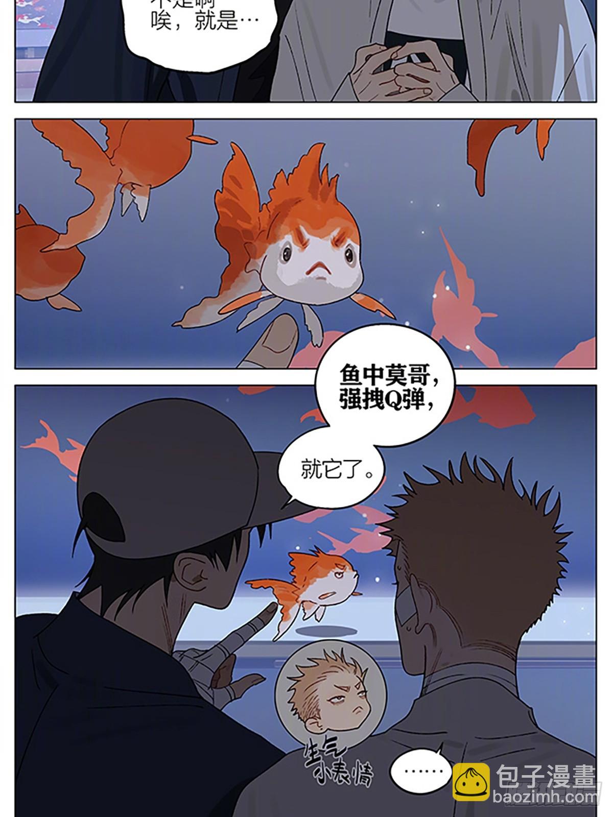 金鱼店-第414话