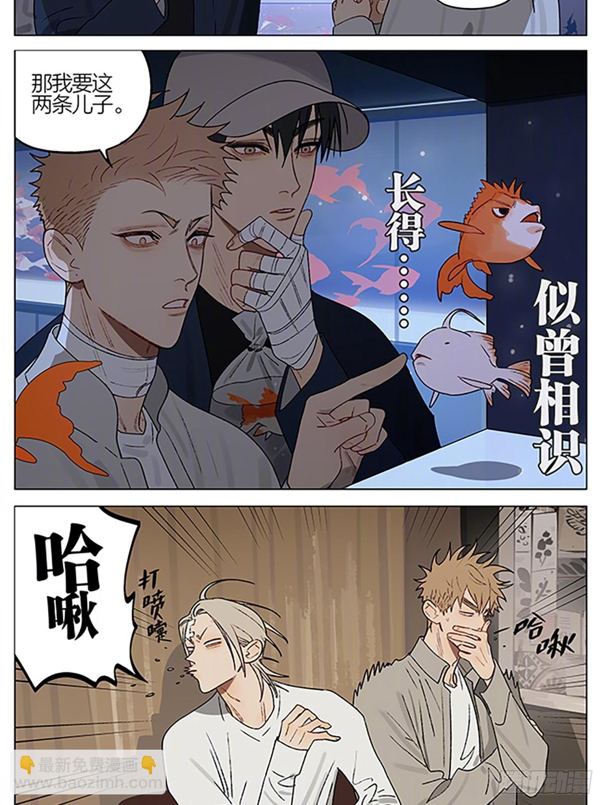 金鱼店-第414话
