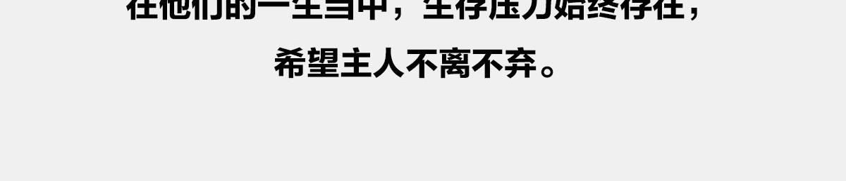〓闭关练级，点亮插画技能〓-第80话