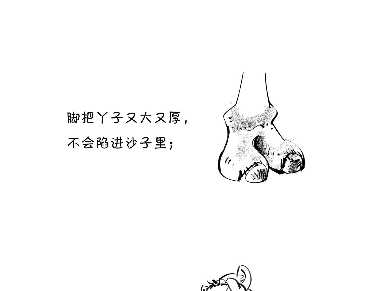 〓佩奇、麦兜、八戒？未来，它有方向么？〓(1/2)-第98话