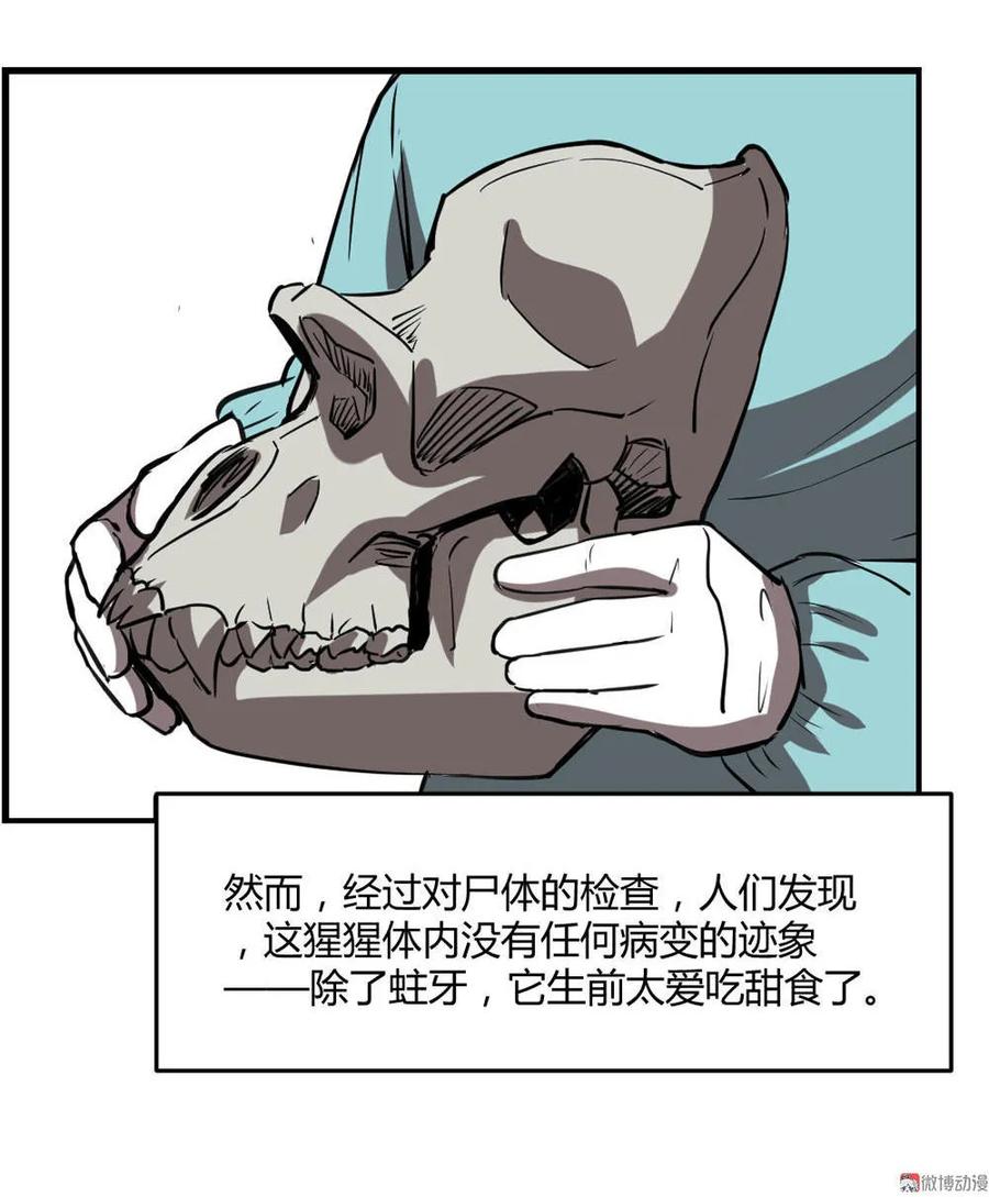 第65话-第66话