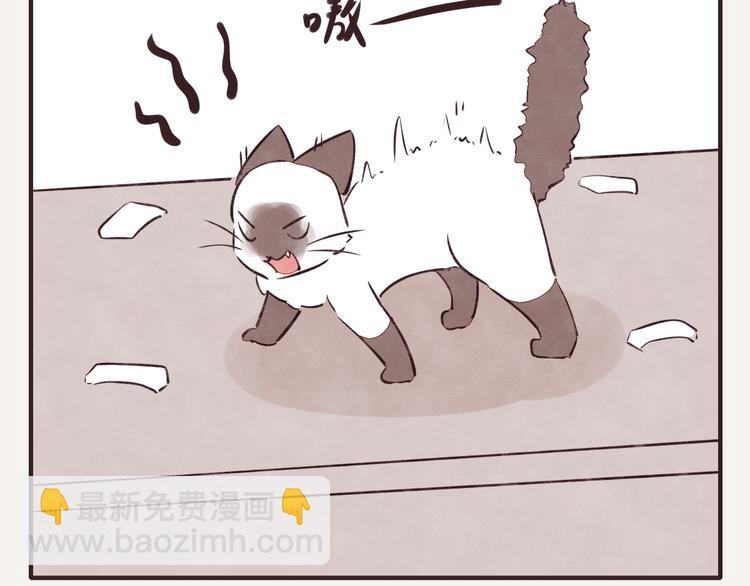 🍧805 第0147话  “纯爷们” 第2页