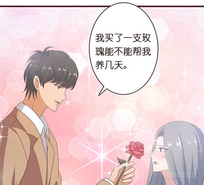 永恒的爱恋(1/2)-第152话