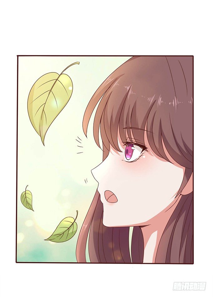 悄然的关心(1/2)-第36话
