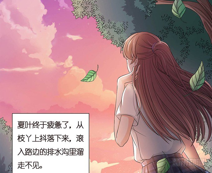 悄然的关心(1/2)-第36话