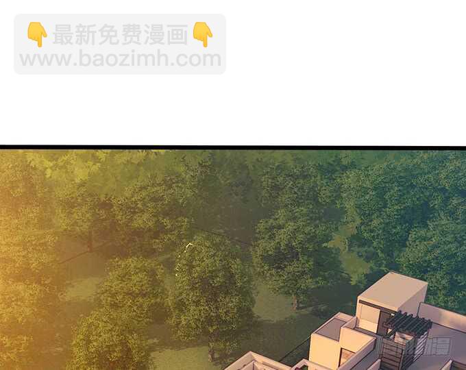 心悸的等候(1/2)-第94话