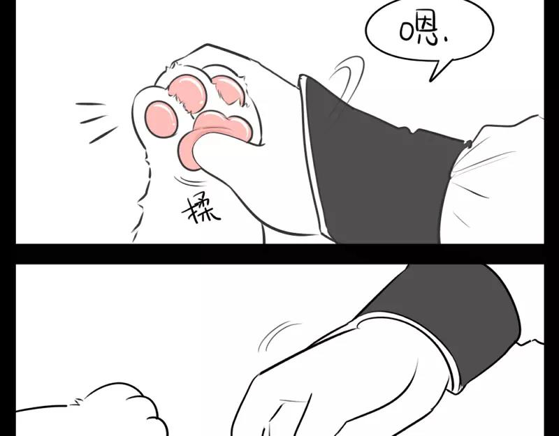 番外 小猫妖-第46话