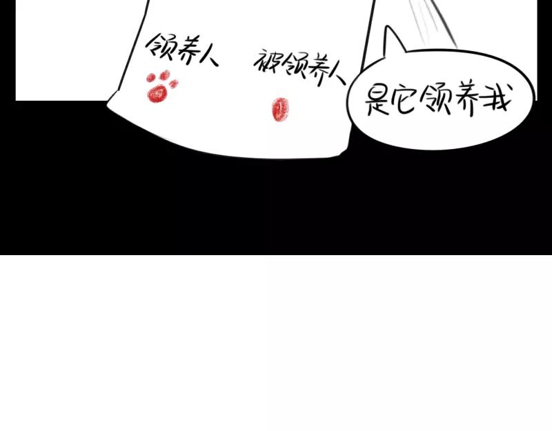 番外 小猫妖-第46话