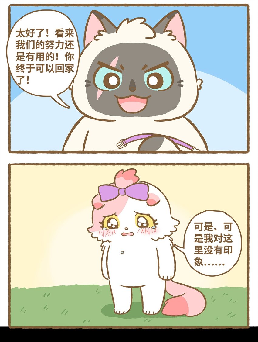 22 第22话-第22话