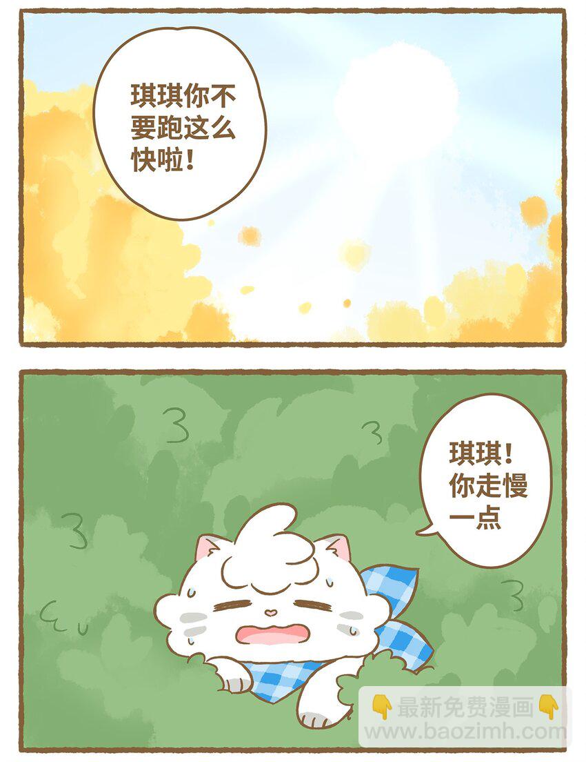 40 第40话 虫子？果子？-第40话