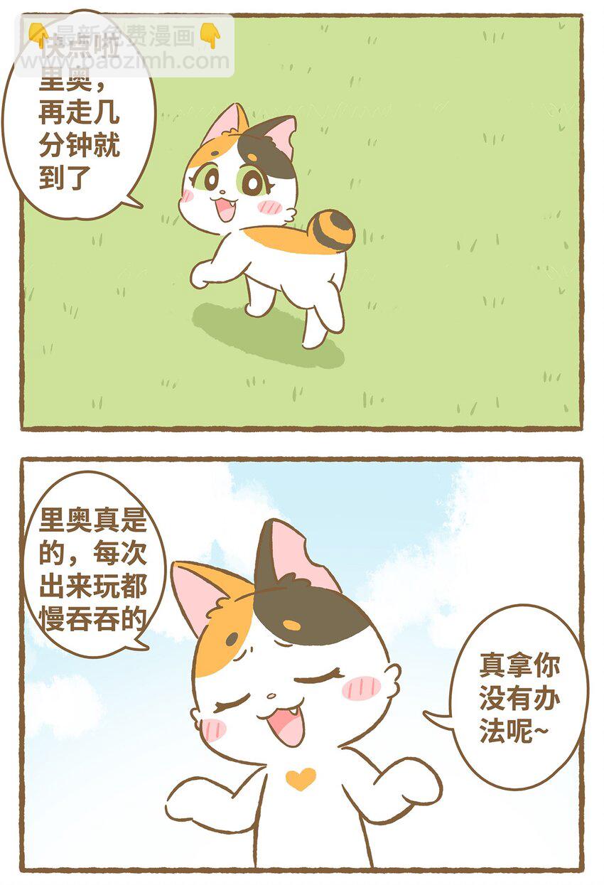 40 第40话 虫子？果子？-第40话