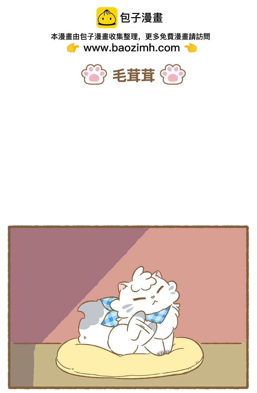 42 第42话 毛茸茸-第42话