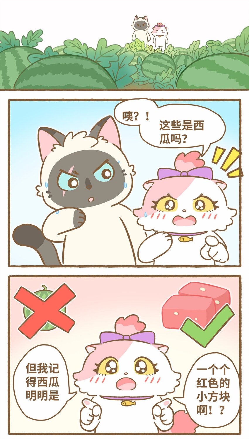 44 第44话 西瓜块VS西瓜汁-第44话