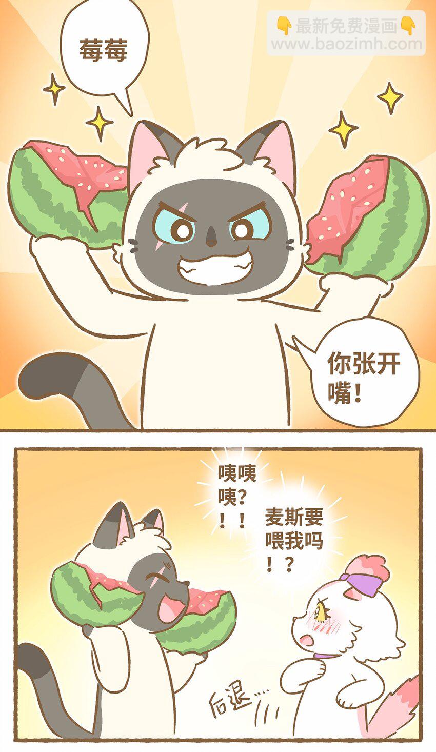 44 第44话 西瓜块VS西瓜汁-第44话