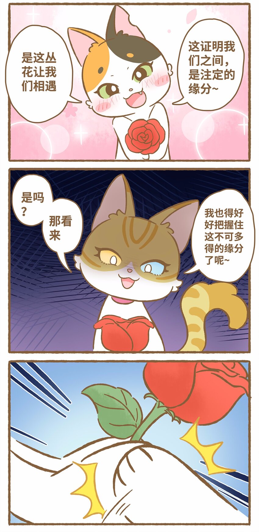 50 第50话 琪妙的相遇-第50话