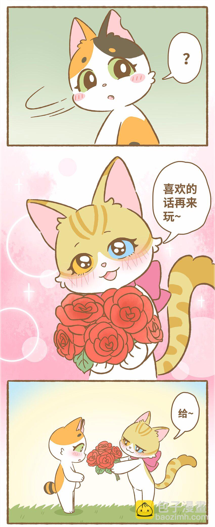 50 第50话 琪妙的相遇-第50话
