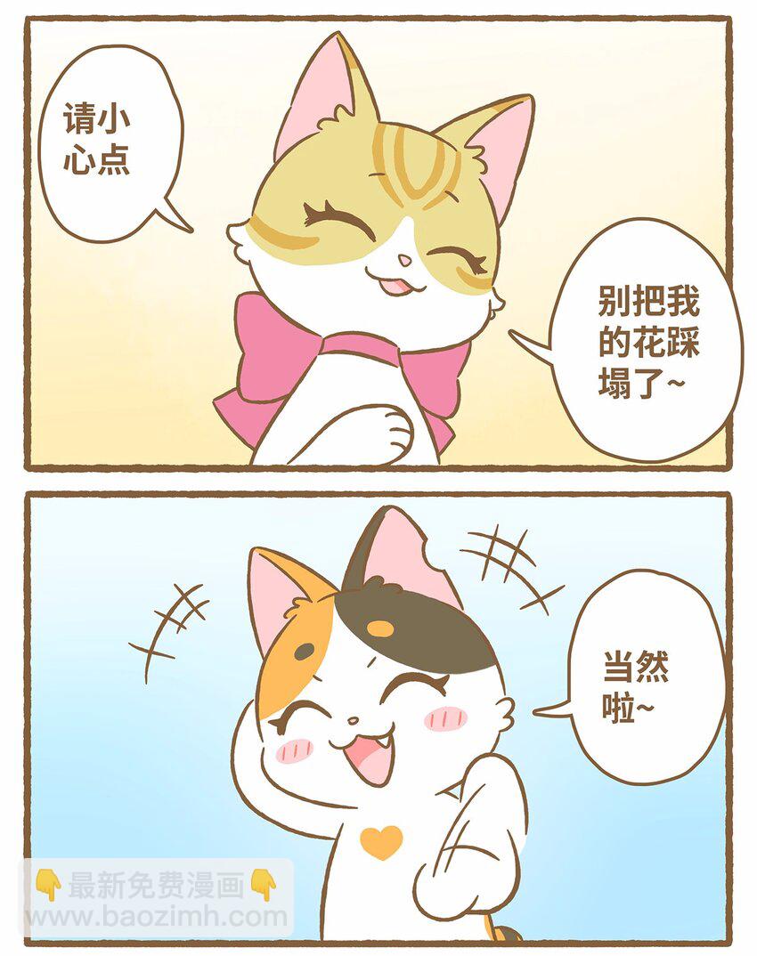 50 第50话 琪妙的相遇-第50话