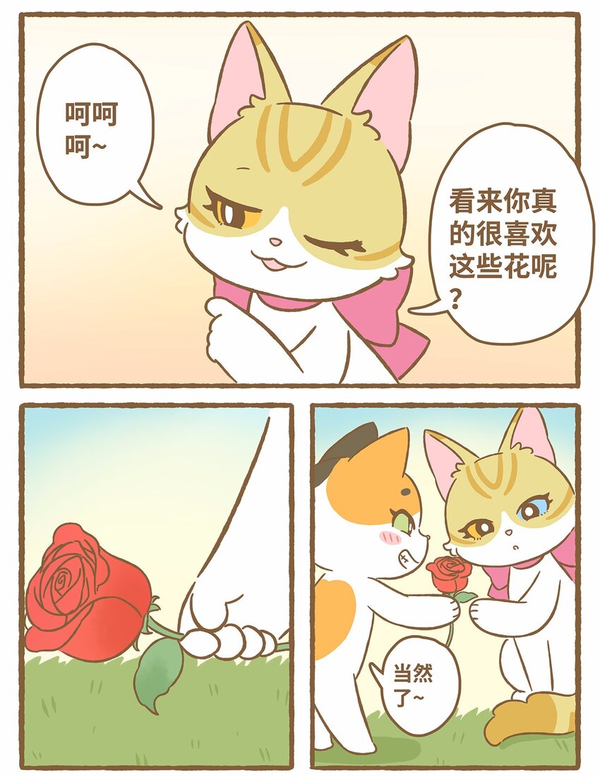50 第50话 琪妙的相遇-第50话