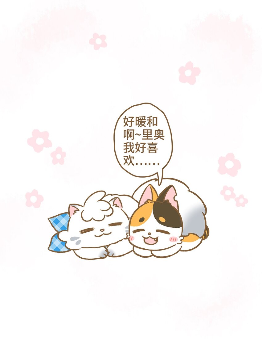 10 第10话-第10话