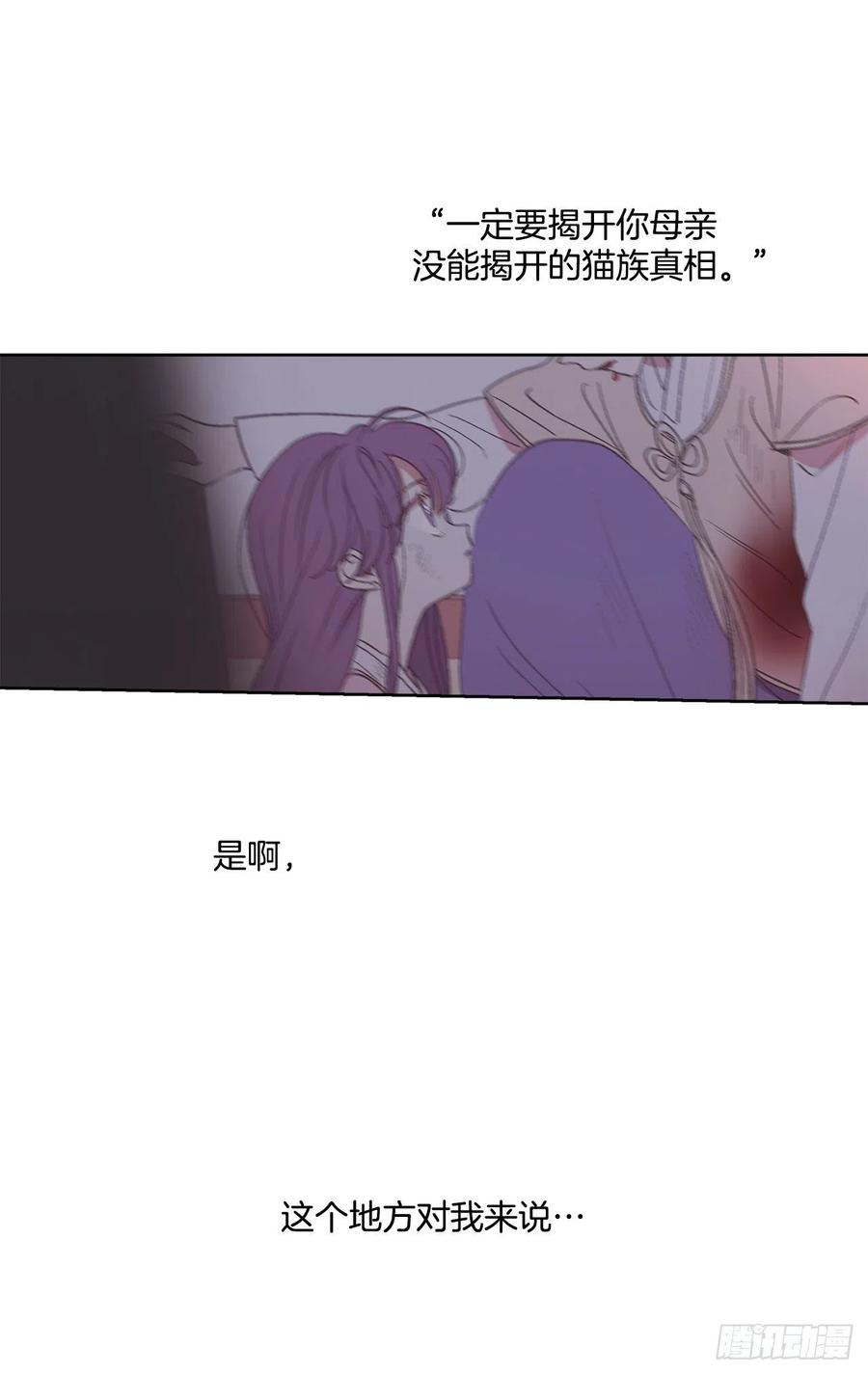 55.白金发猫族(1/2)-第56话