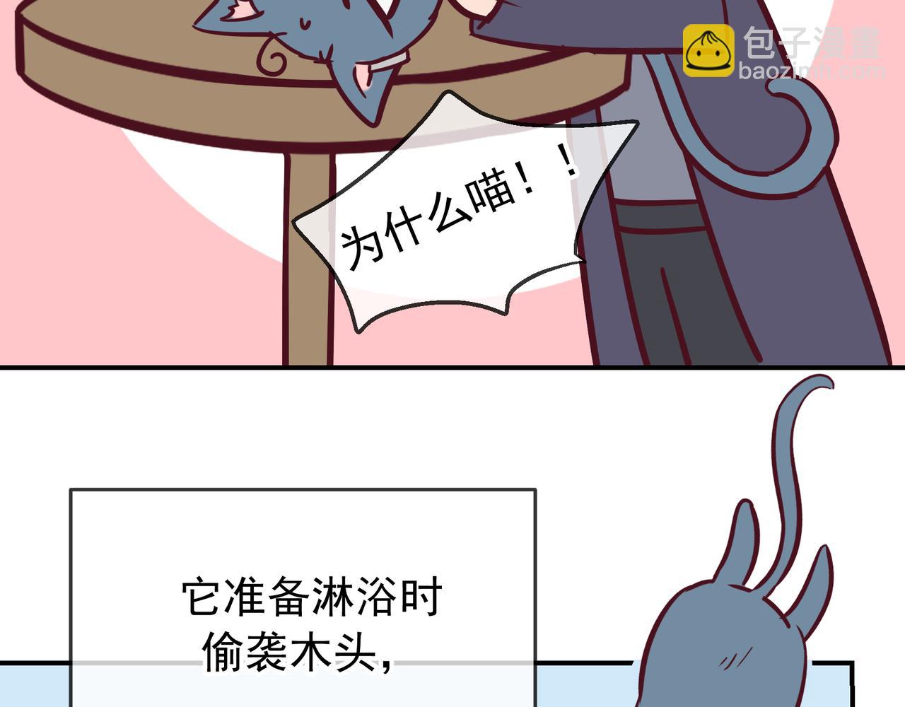 Q版小剧场 莱伊变猫猫的一天-第76话