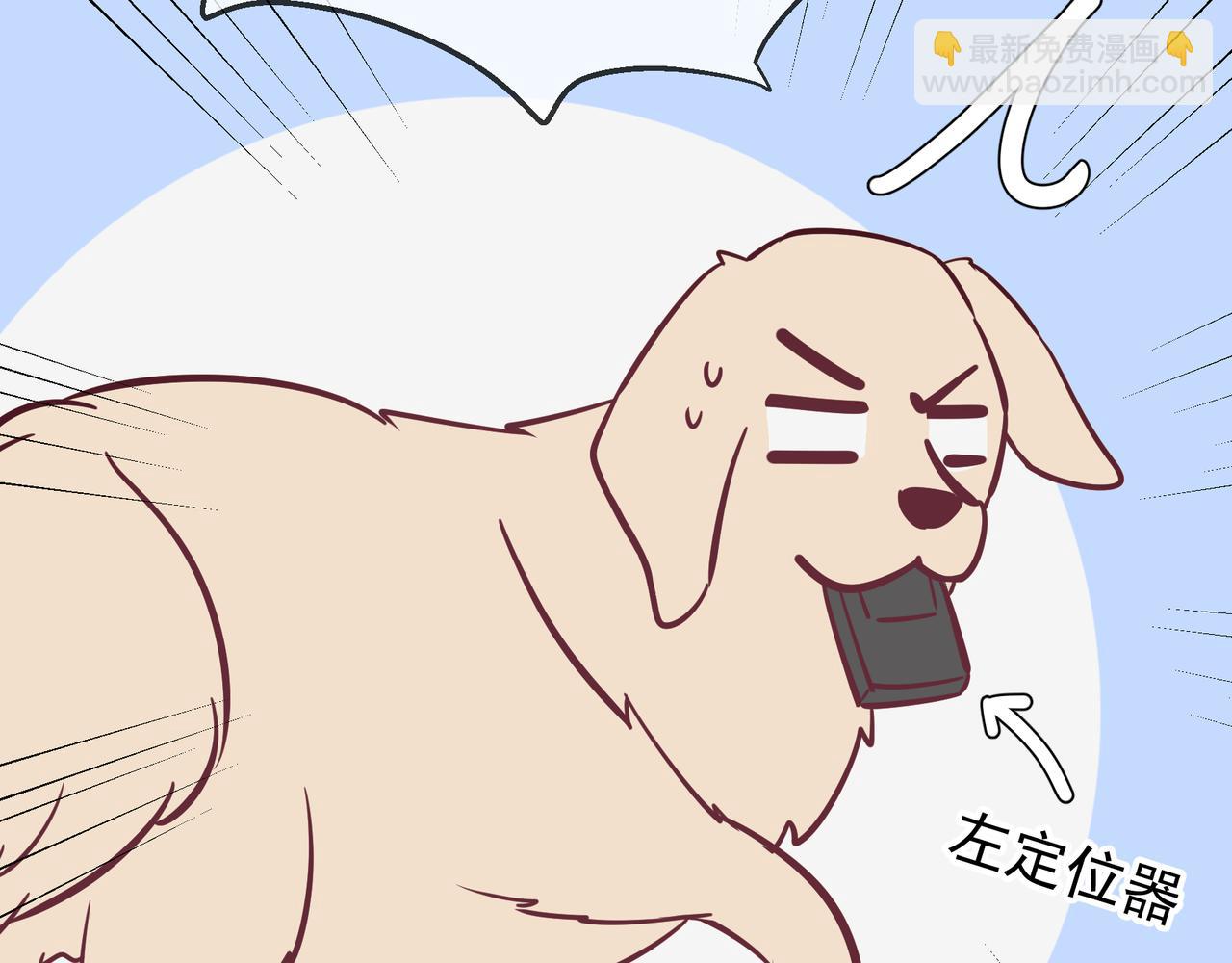 Q版小剧场 谁家的狗狗？-第82话