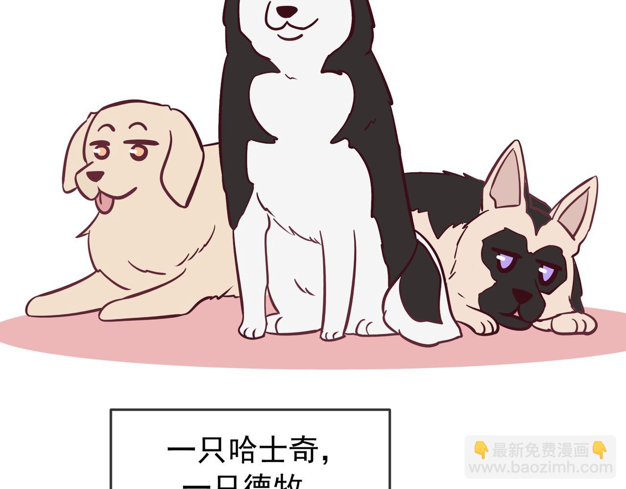 Q版小剧场 谁家的狗狗？-第82话