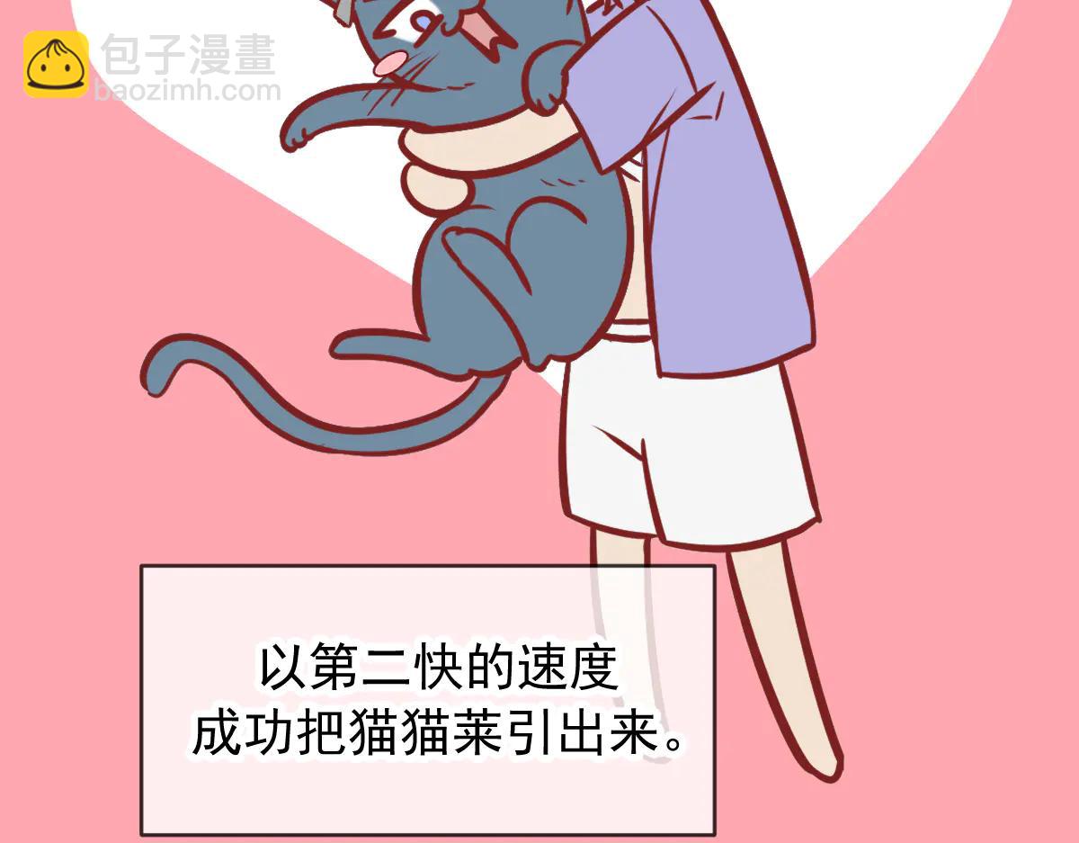 Q版小剧场 这是我家的猫猫-第84话