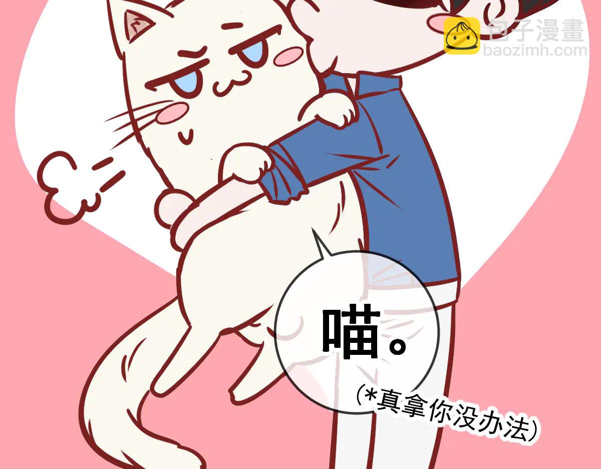 Q版小剧场 这是我家的猫猫-第84话