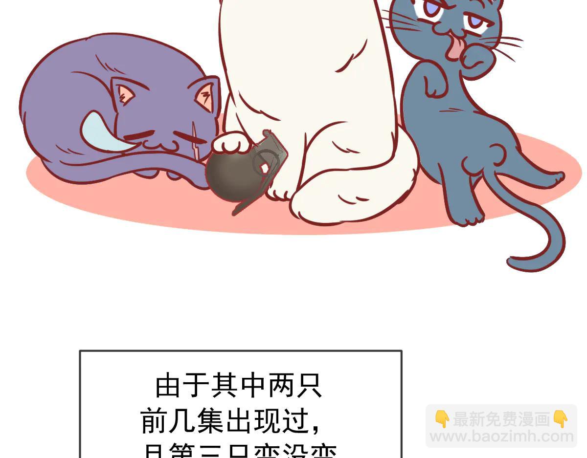 Q版小剧场 这是我家的猫猫-第84话