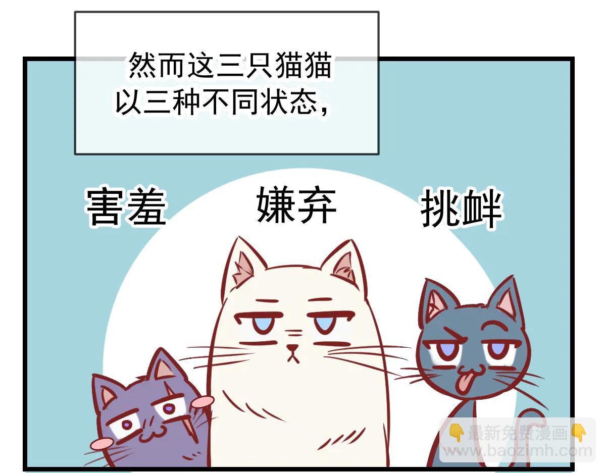 Q版小剧场 这是我家的猫猫-第84话
