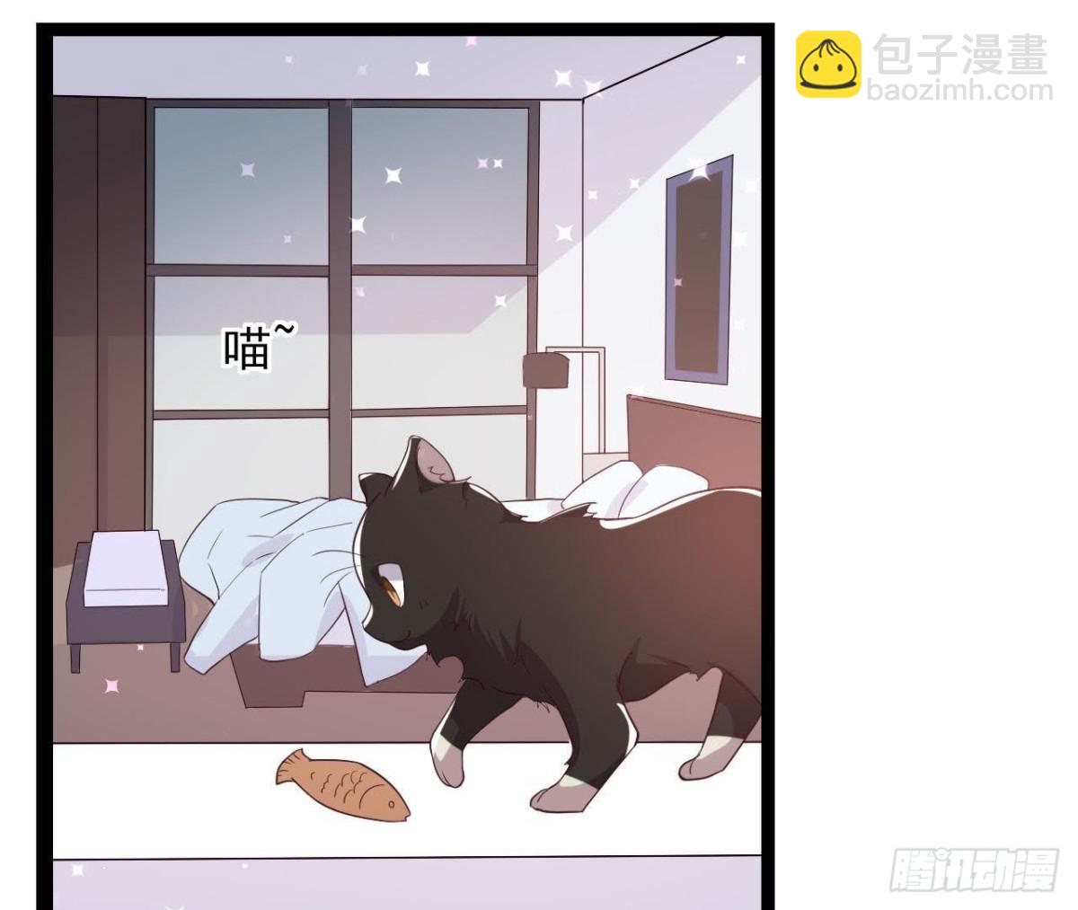 诱猫达人(1/2)-第148话