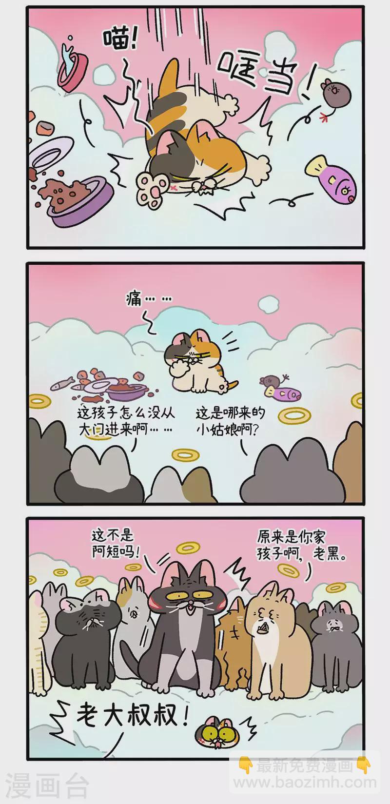 番外13上 元旦奇遇-第106话