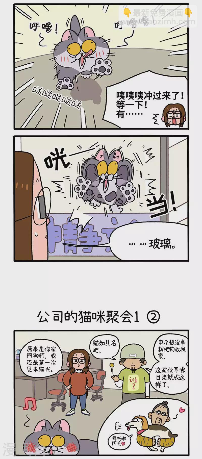 第65话1 公司的猫咪聚会-第116话