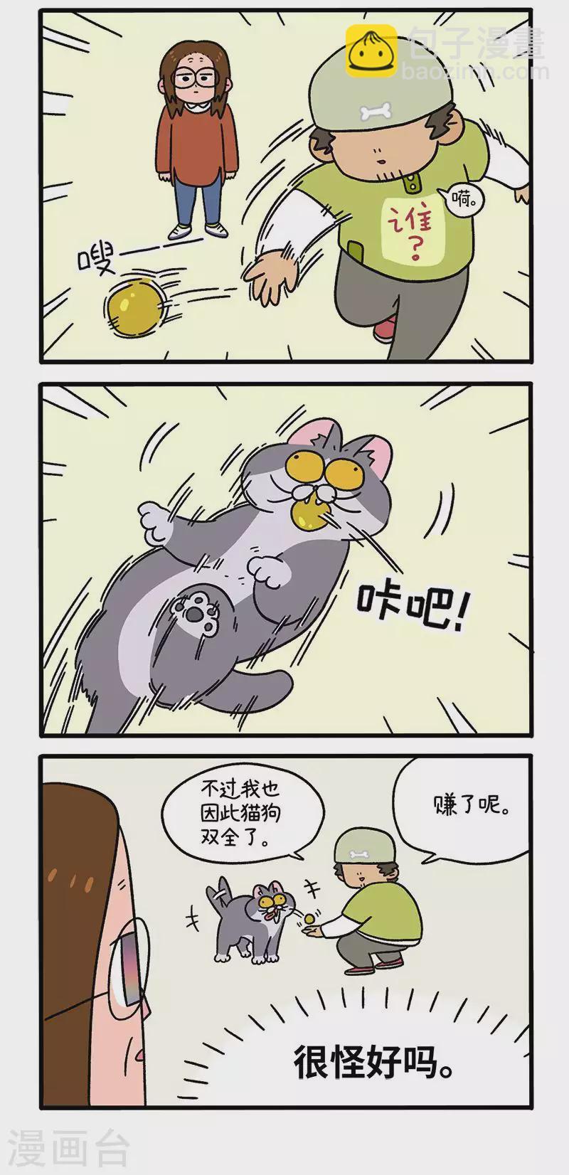 第65话1 公司的猫咪聚会-第116话