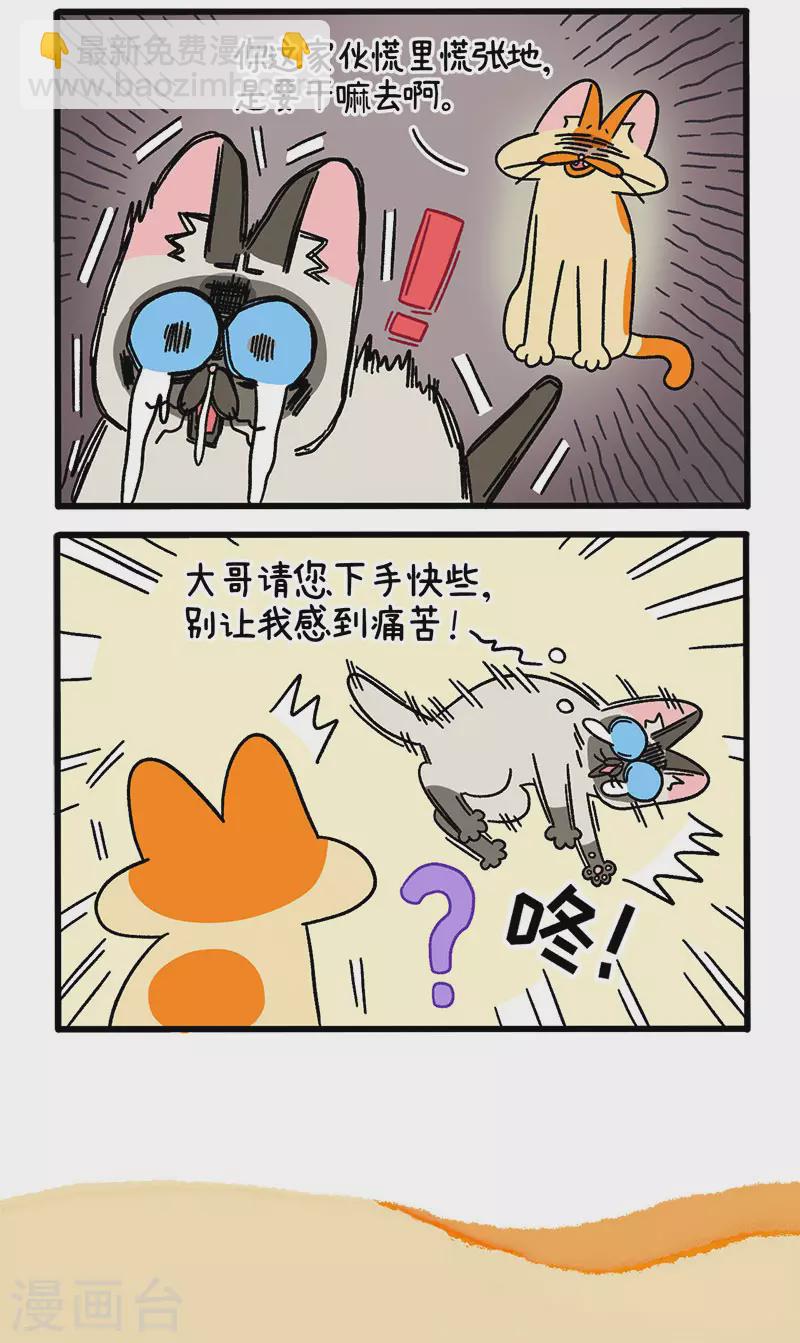 第66话1 公司的猫咪聚会2-第118话