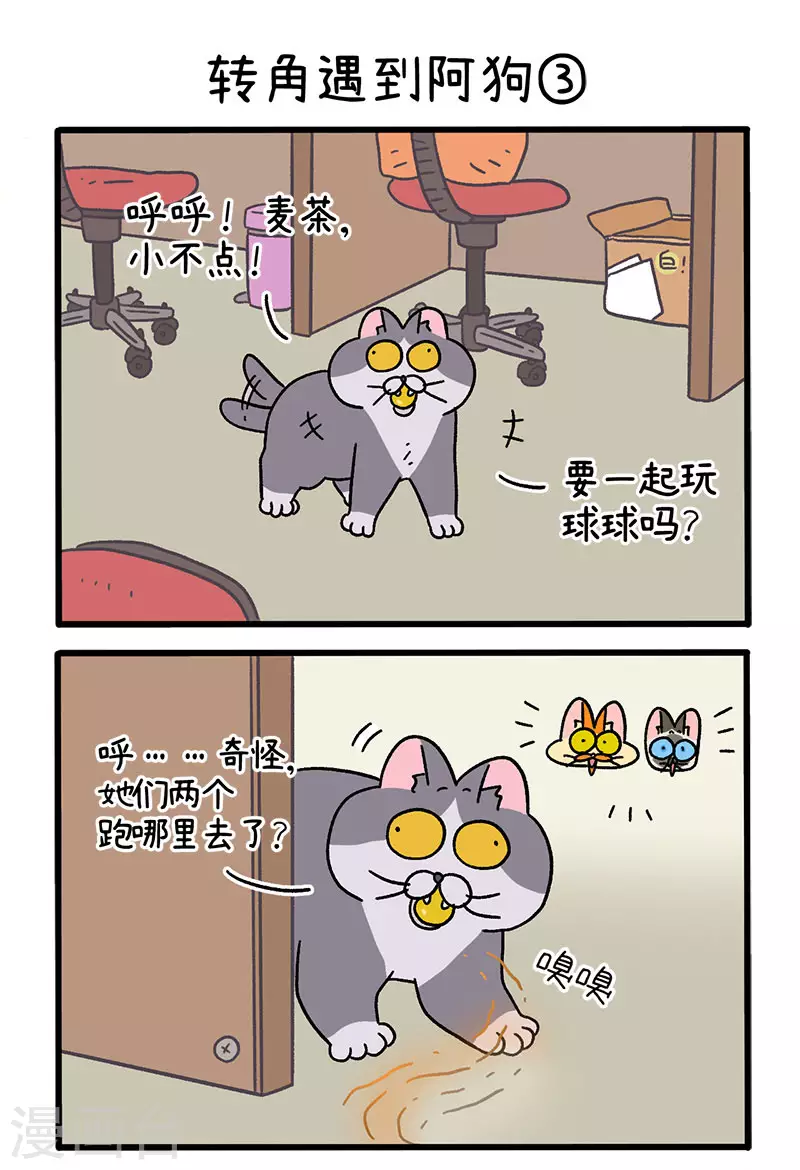 第71话1 转角遇到阿狗-第130话