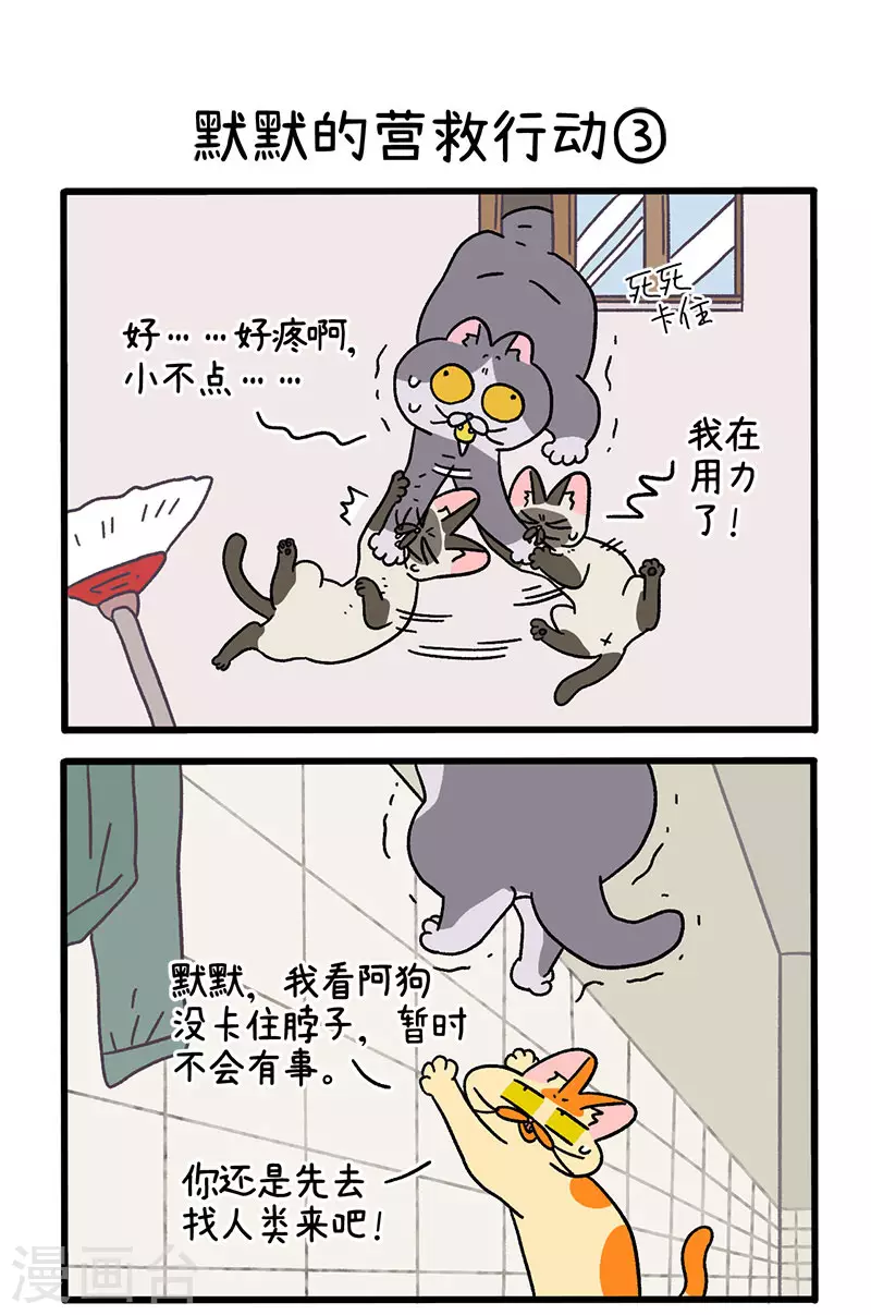 第72话1 默默的营救行动-第132话