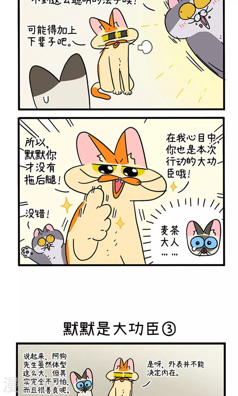 第79话 默默是大功臣-第144话