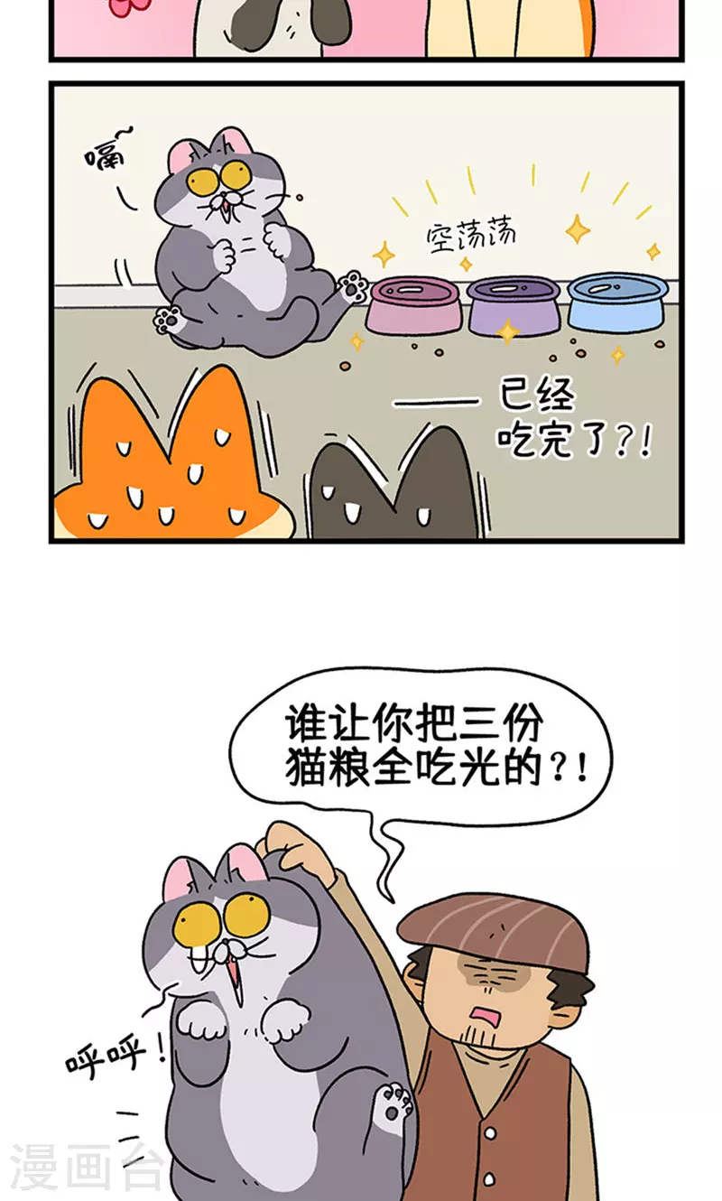 第79话 默默是大功臣-第144话