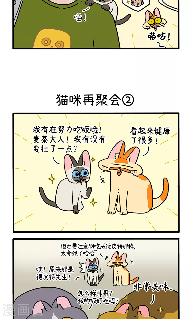 第82话1 猫咪再聚会-第148话
