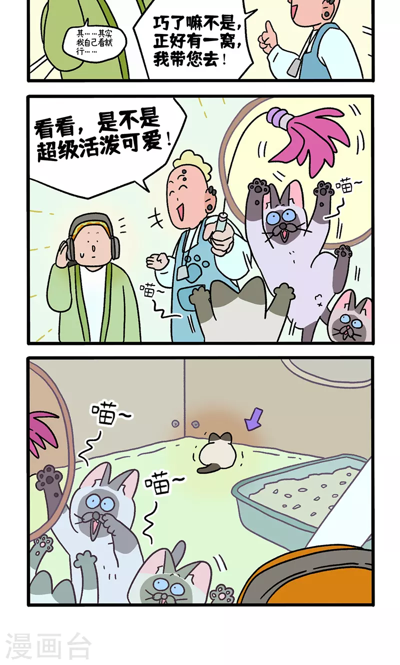 番外15上 默默的新生活1-第150话