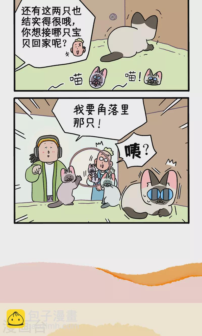 番外15上 默默的新生活1-第150话